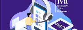 Grow your work from home business with cost effective IVR solution