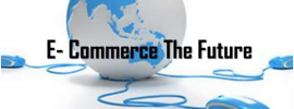What would be the e-commerce future in India