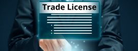 What to Expect During the Business Trade License Application Process: